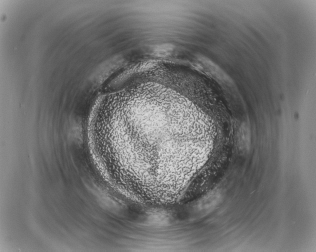 X0000086110562200704202308