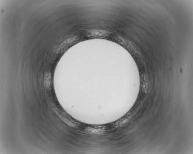 X0000086110563200704202308