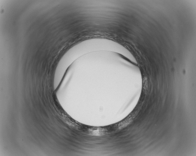 X0000086110564200704202308