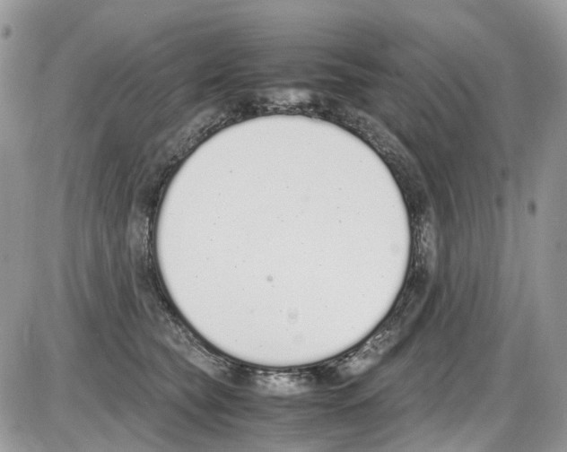 X0000086110565200704202309