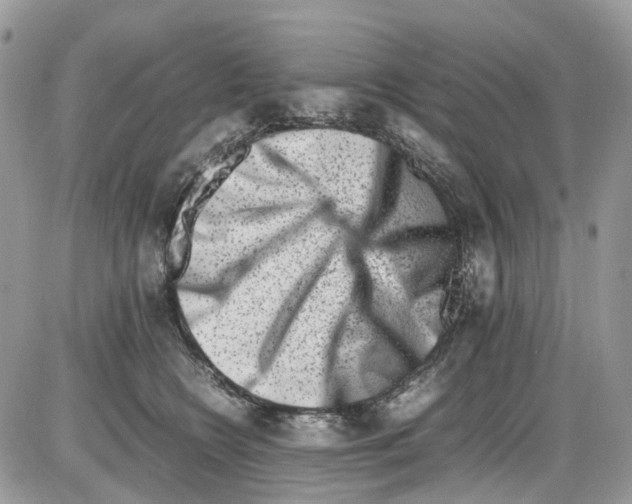 X0000086110566200704202309