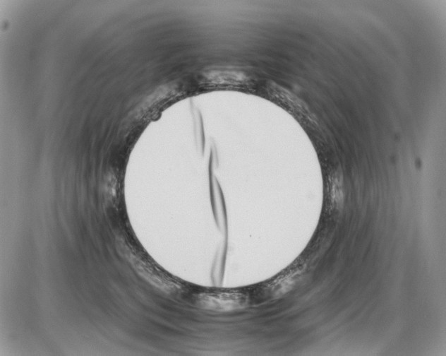 X0000086110567200704202309