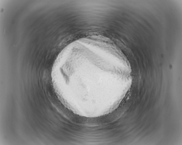 X0000086110568200704202309