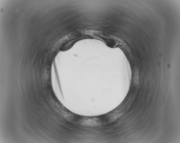 X0000086110569200704202309