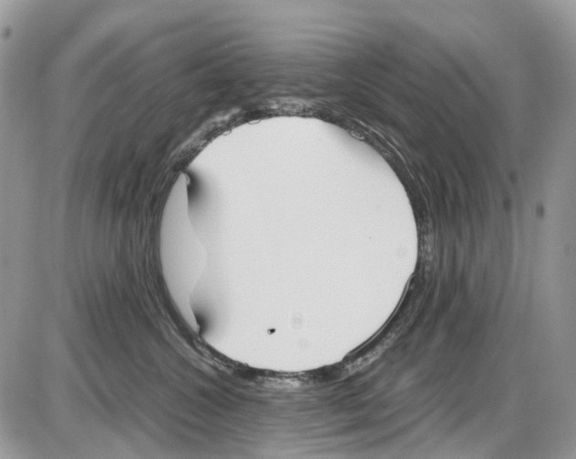 X0000086110572200704202309