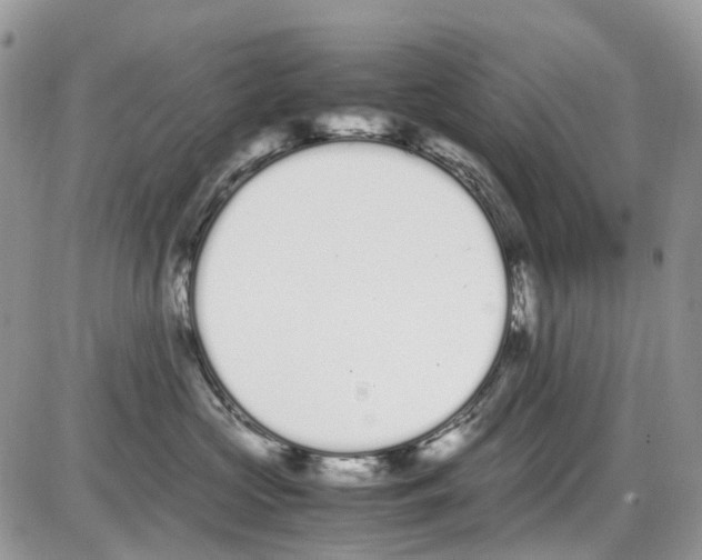 X0000086110573200704202309