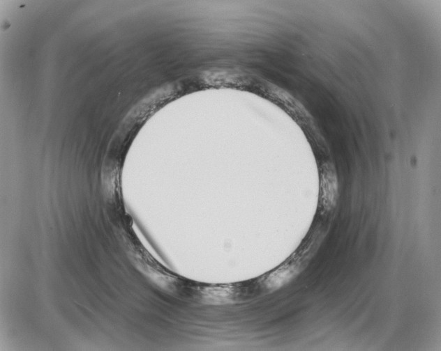 X0000086110574200704202309