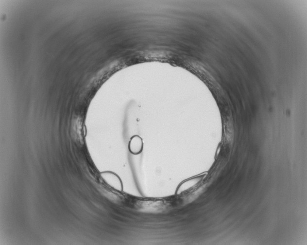 X0000086110575200704202309