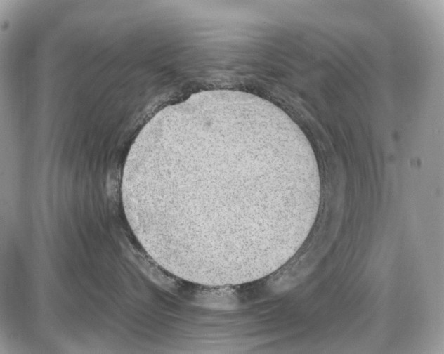 X0000086110576200704202309