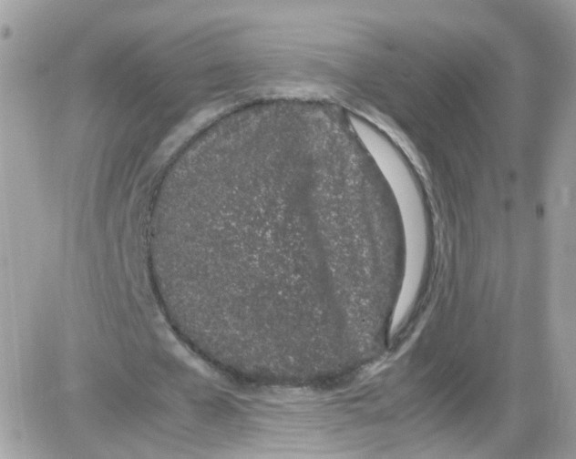 X0000086110577200704202308