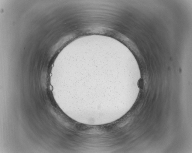 X0000086110578200704202308