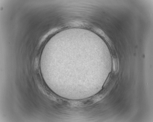 X0000086110579200704202308