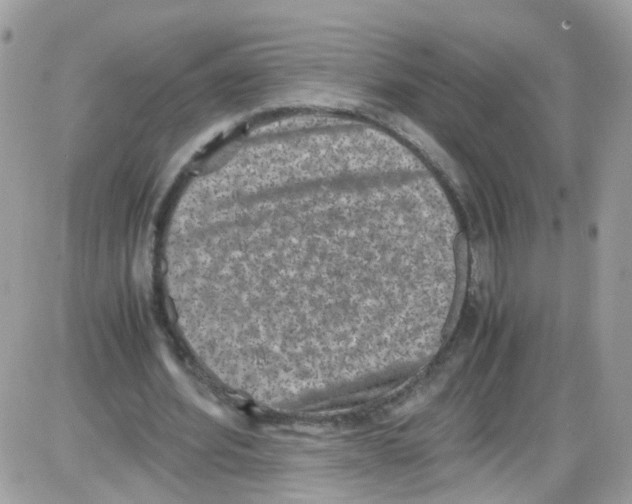 X0000086110580200704202308