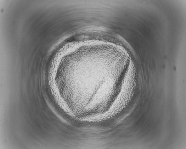 X0000086110581200704202308