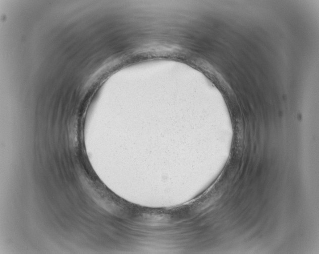 X0000086110582200704202308