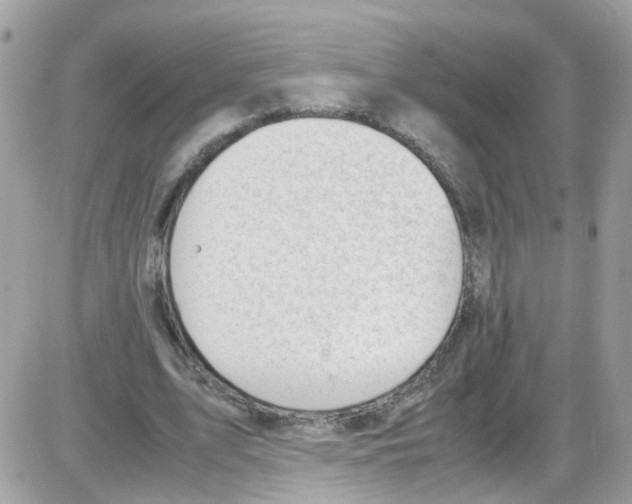 X0000086110583200704202308