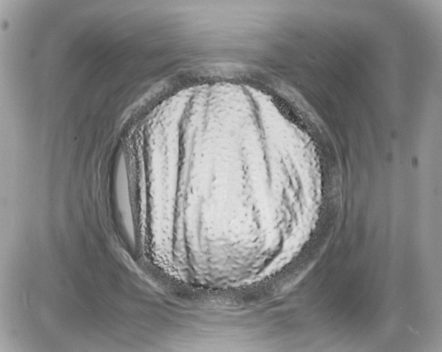 X0000086110585200704202308