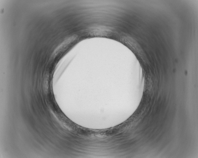 X0000086110586200704202308