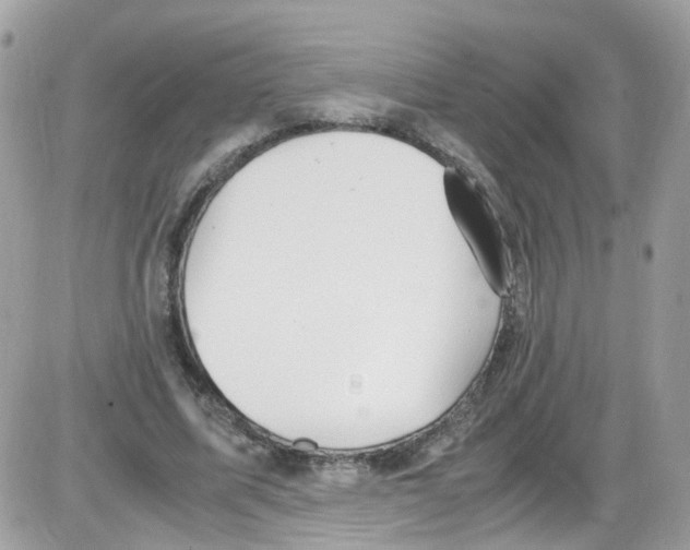 X0000086110587200704202308