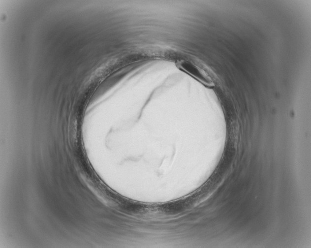 X0000086110589200704202308