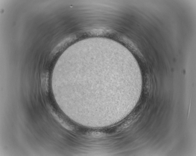 X0000086110590200704202308