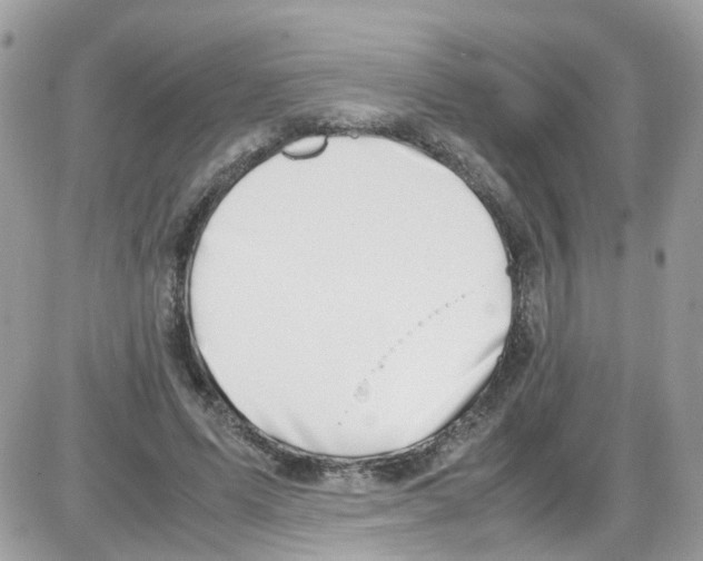 X0000086110591200704202308