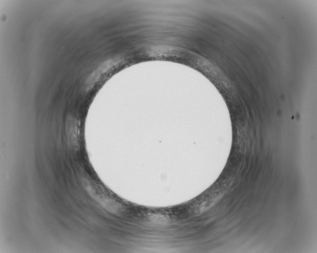 X0000086110592200704202308