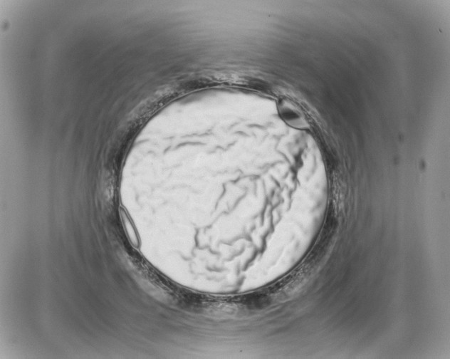 X0000086110593200704202308