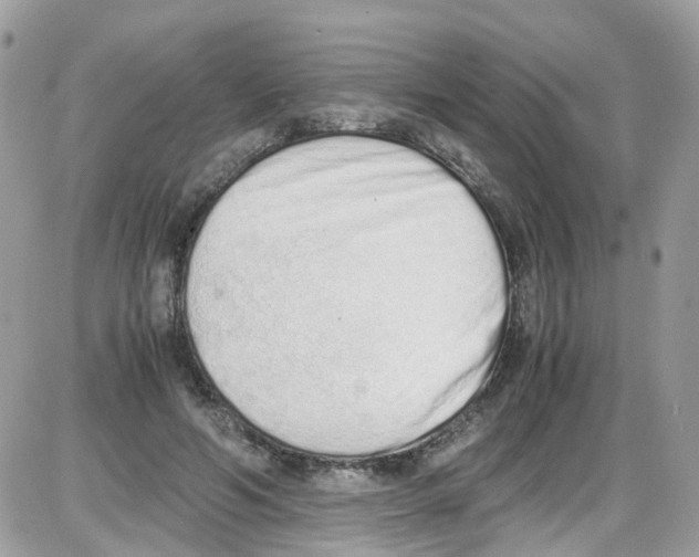 X0000086110594200704202308