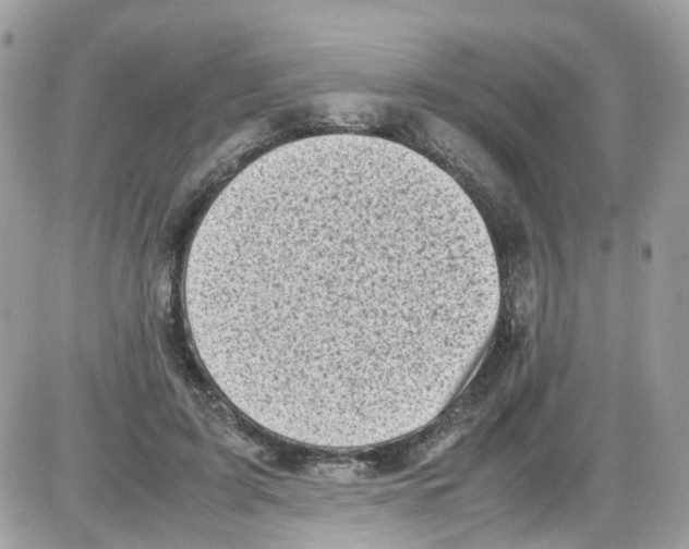 X0000086110595200704202308