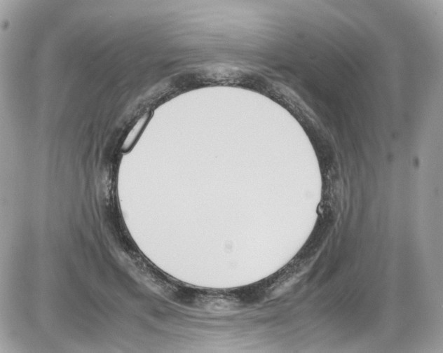 X0000086110597200704202308