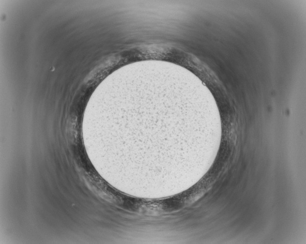 X0000086110599200704202308