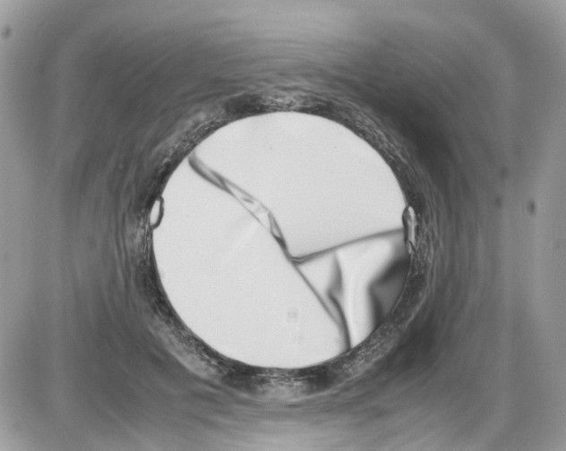 X0000086110601200704202308