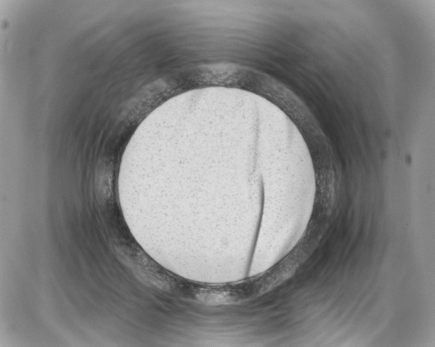 X0000086110602200704202308