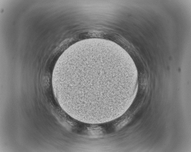 X0000086110603200704202307