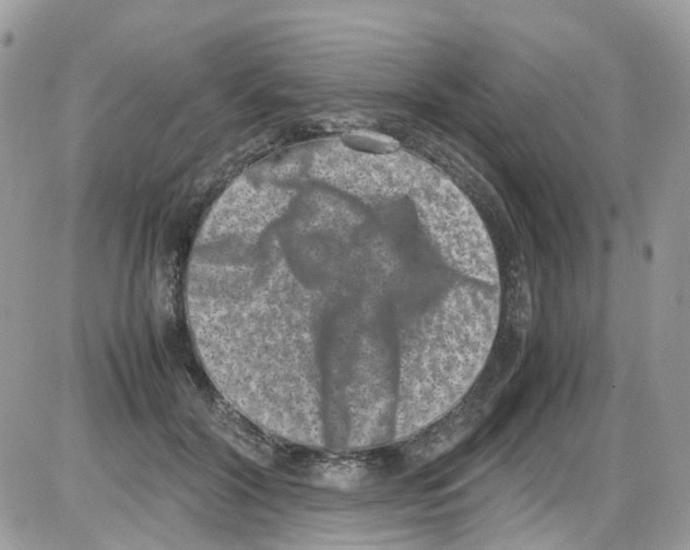 X0000086110604200704202307