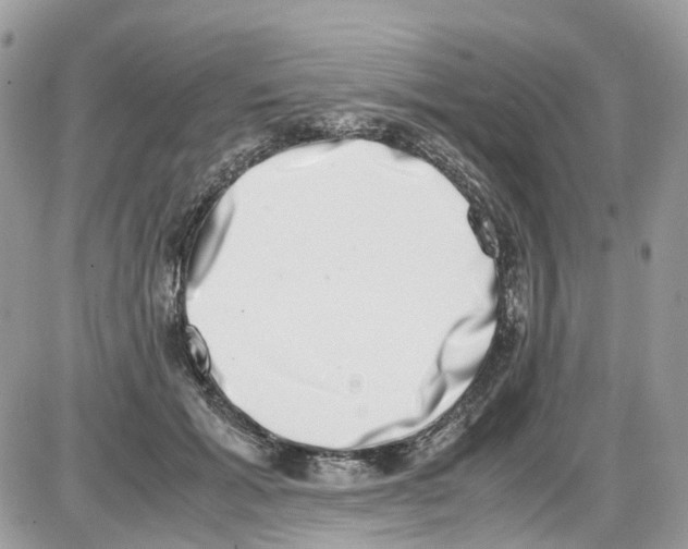 X0000086110605200704202307