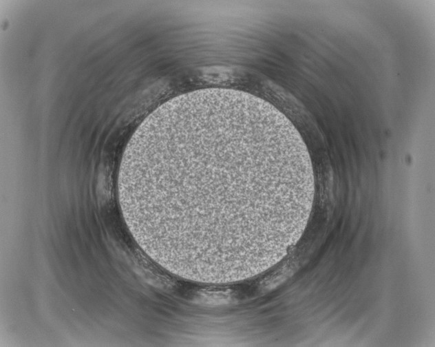 X0000086110606200704202307