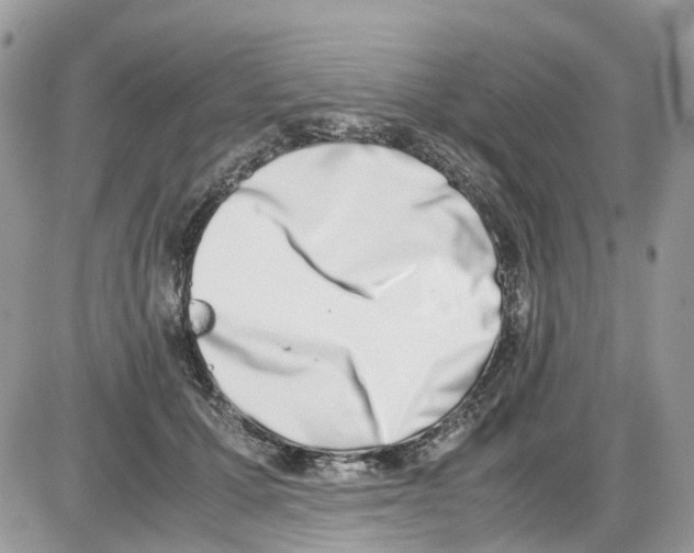 X0000086110607200704202307