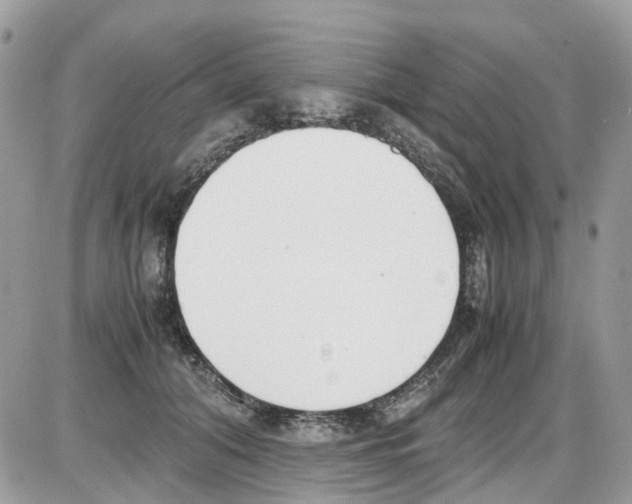 X0000086110608200704202307