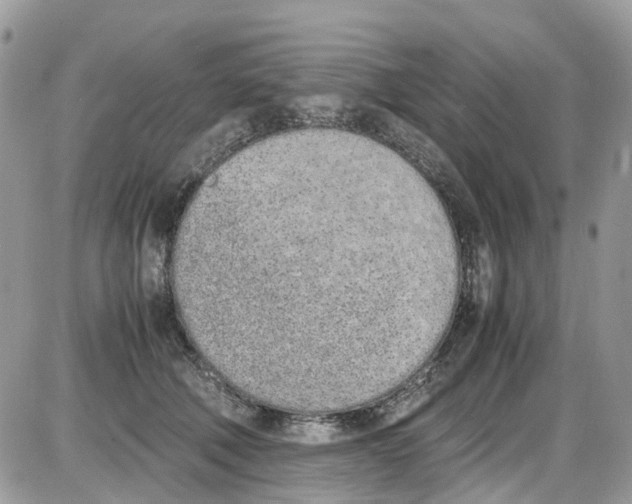 X0000086110610200704202307