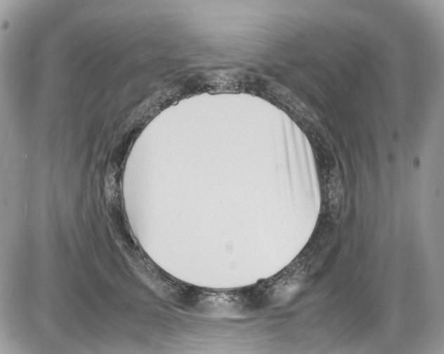 X0000086110611200704202307