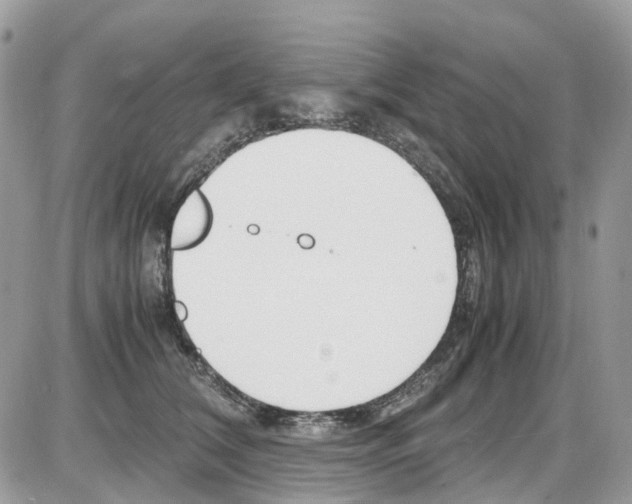 X0000086110612200704202307