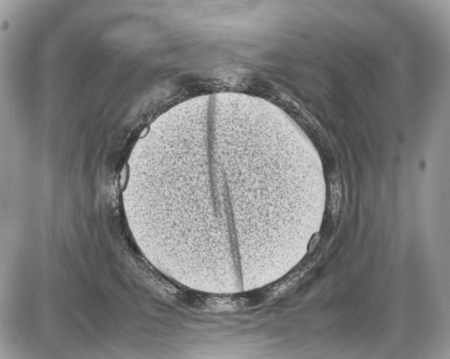 X0000086110613200704202307