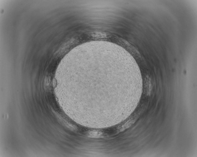 X0000086110614200704202307