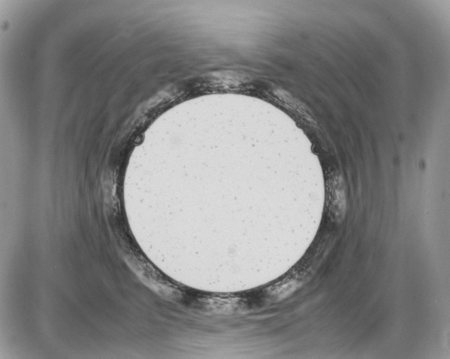 X0000086110615200704202307