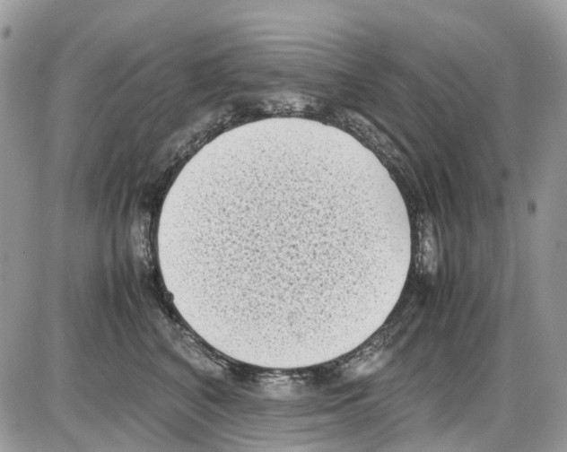 X0000086110616200704202307