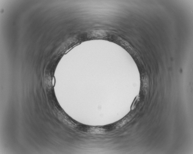 X0000086110617200704202307