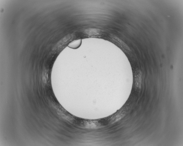 X0000086110618200704202307