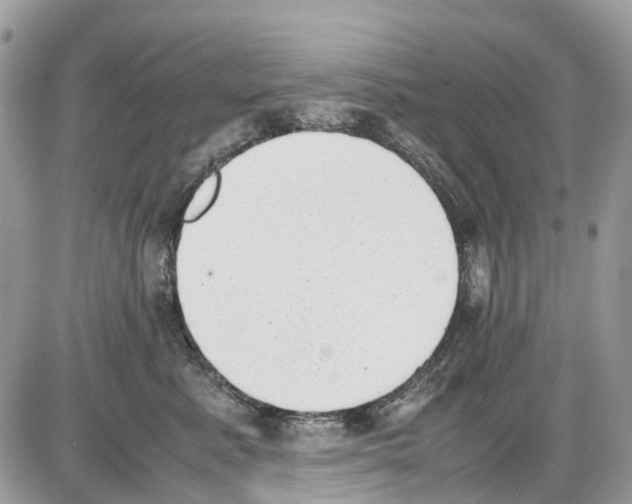 X0000086110619200704202307